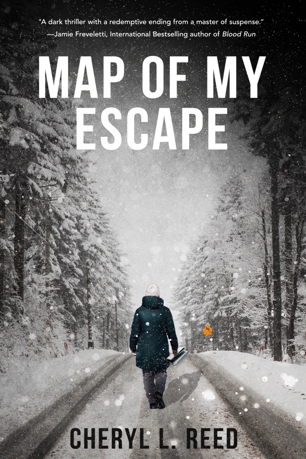 Map of My Escape by Cheryl Reed ~&nbsp;Review