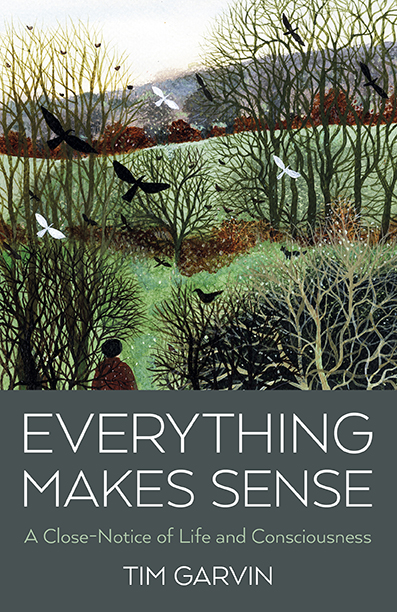 Everything Makes Sense by Tim Garvin ~ Review