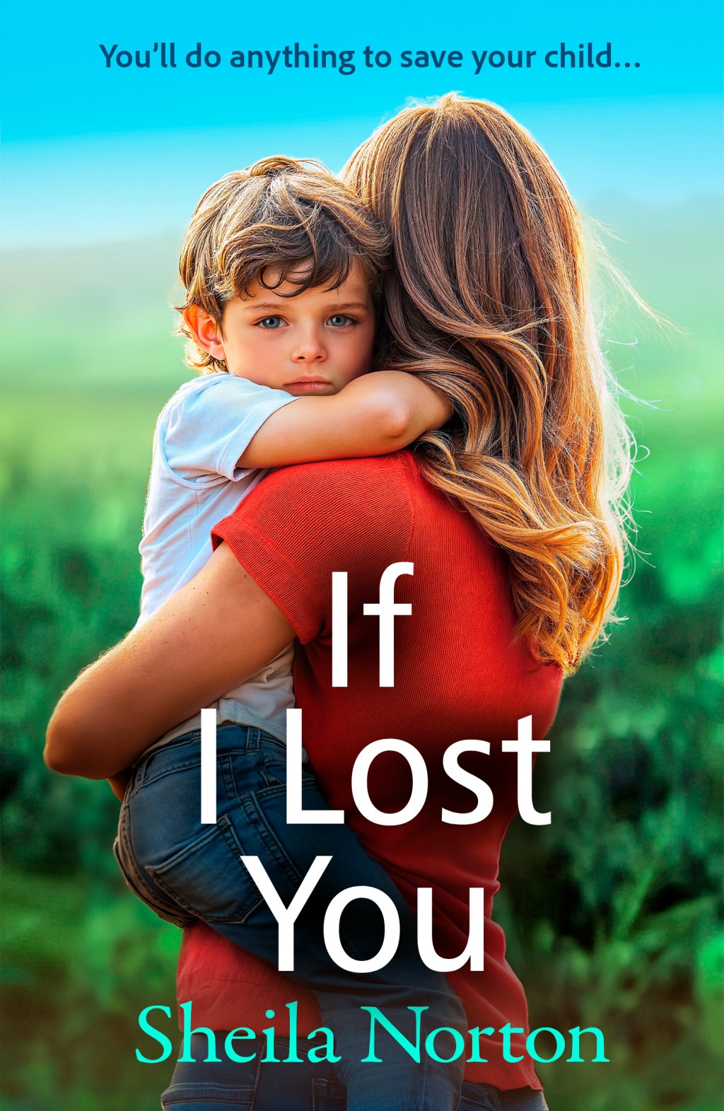 If I Lost You  by Sheila Norton ~&nbsp;Review