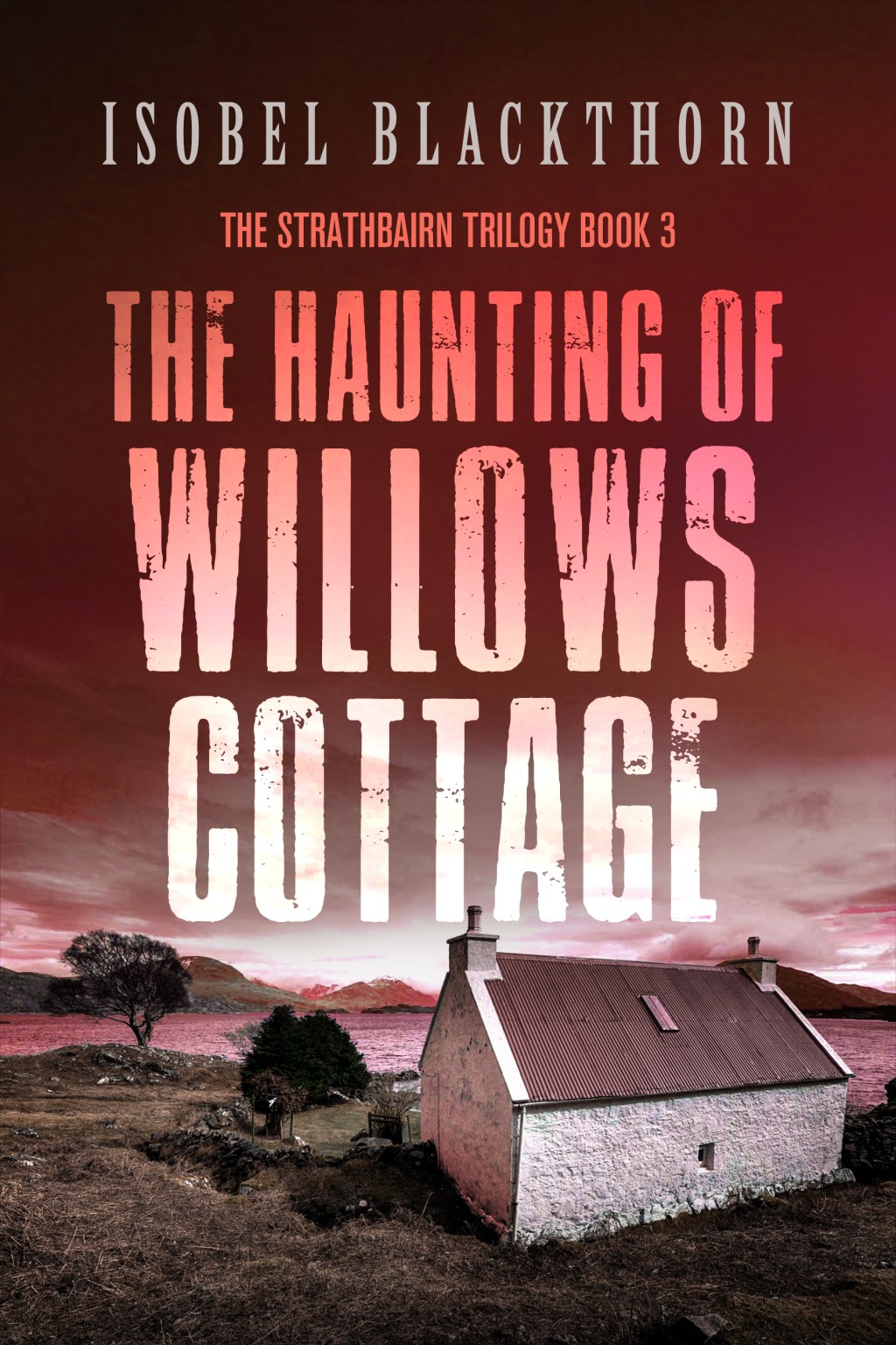 Review: The Haunting of Willows&nbsp;Cottage