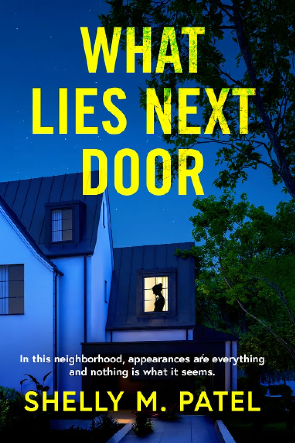 Review: What Lies Next Door by Shelly M. Patel