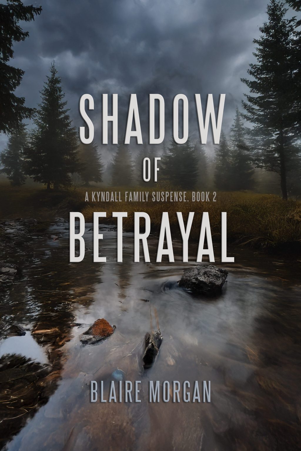 Spotlight :  Shadow of Betrayal by Blaire&nbsp;Morgan