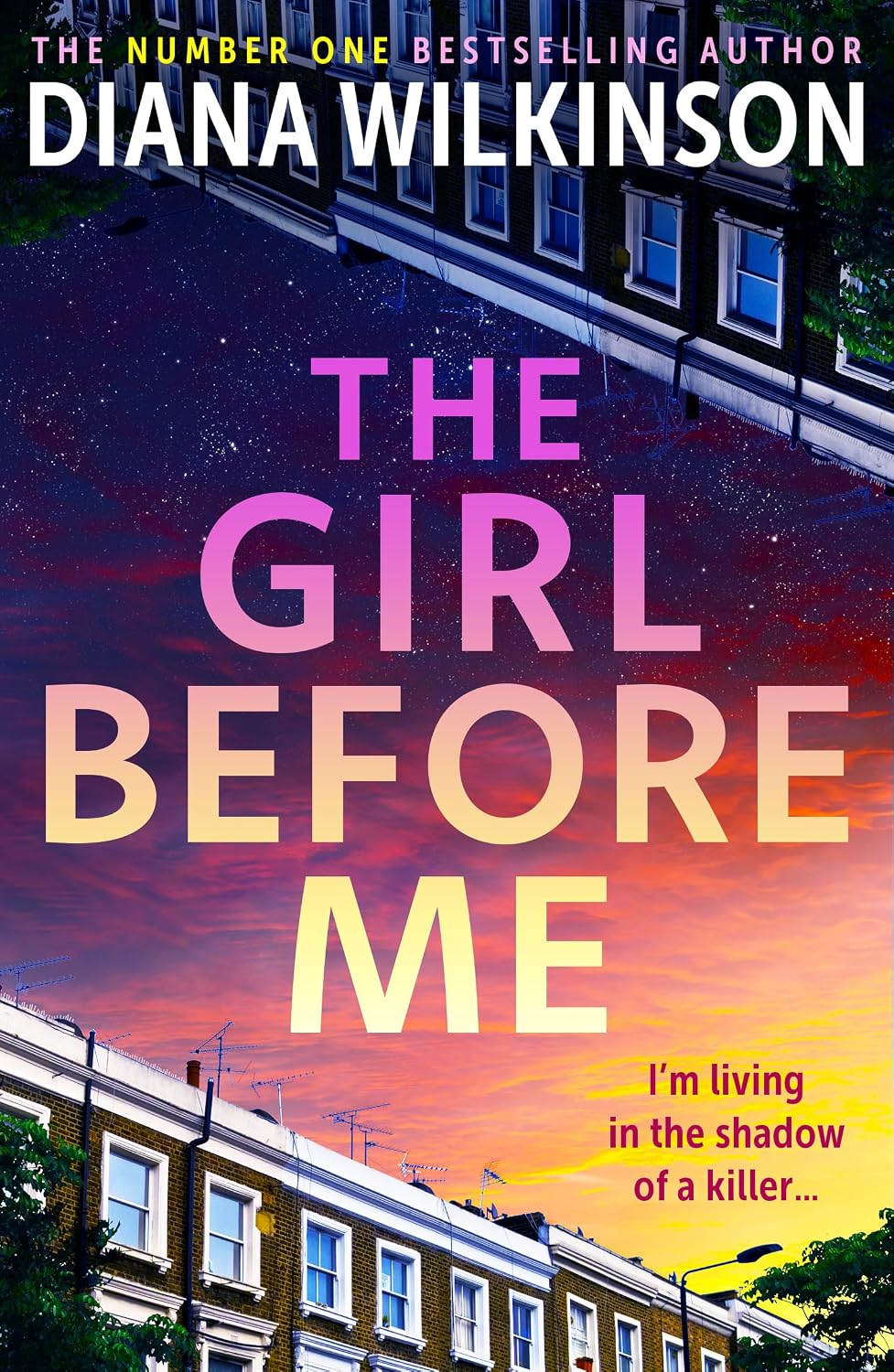 Review: The Girl Before Me by Diana&nbsp;Wilkinson