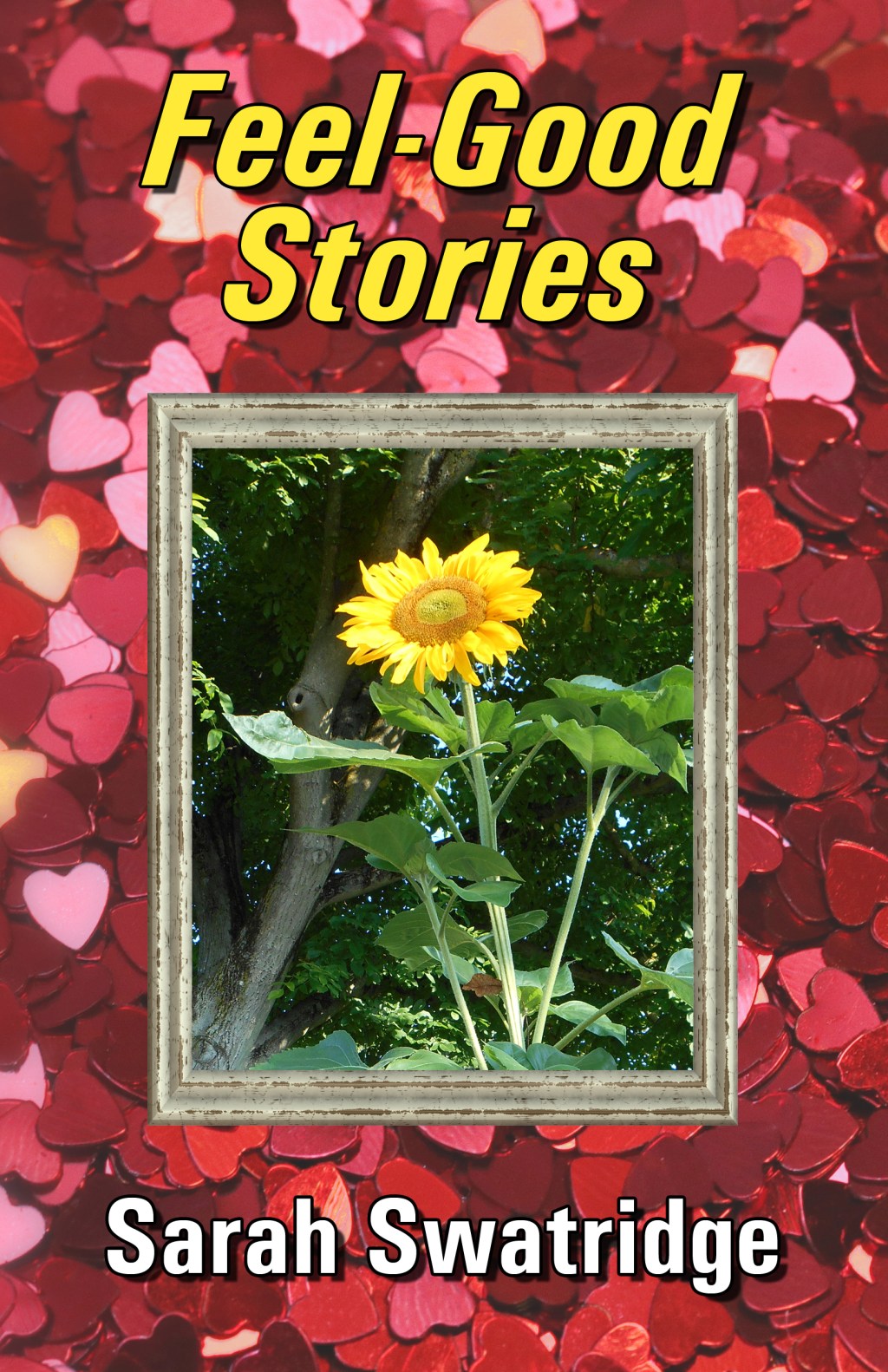 Extract: Feel-Good Stories by Sarah&nbsp;Swatridge